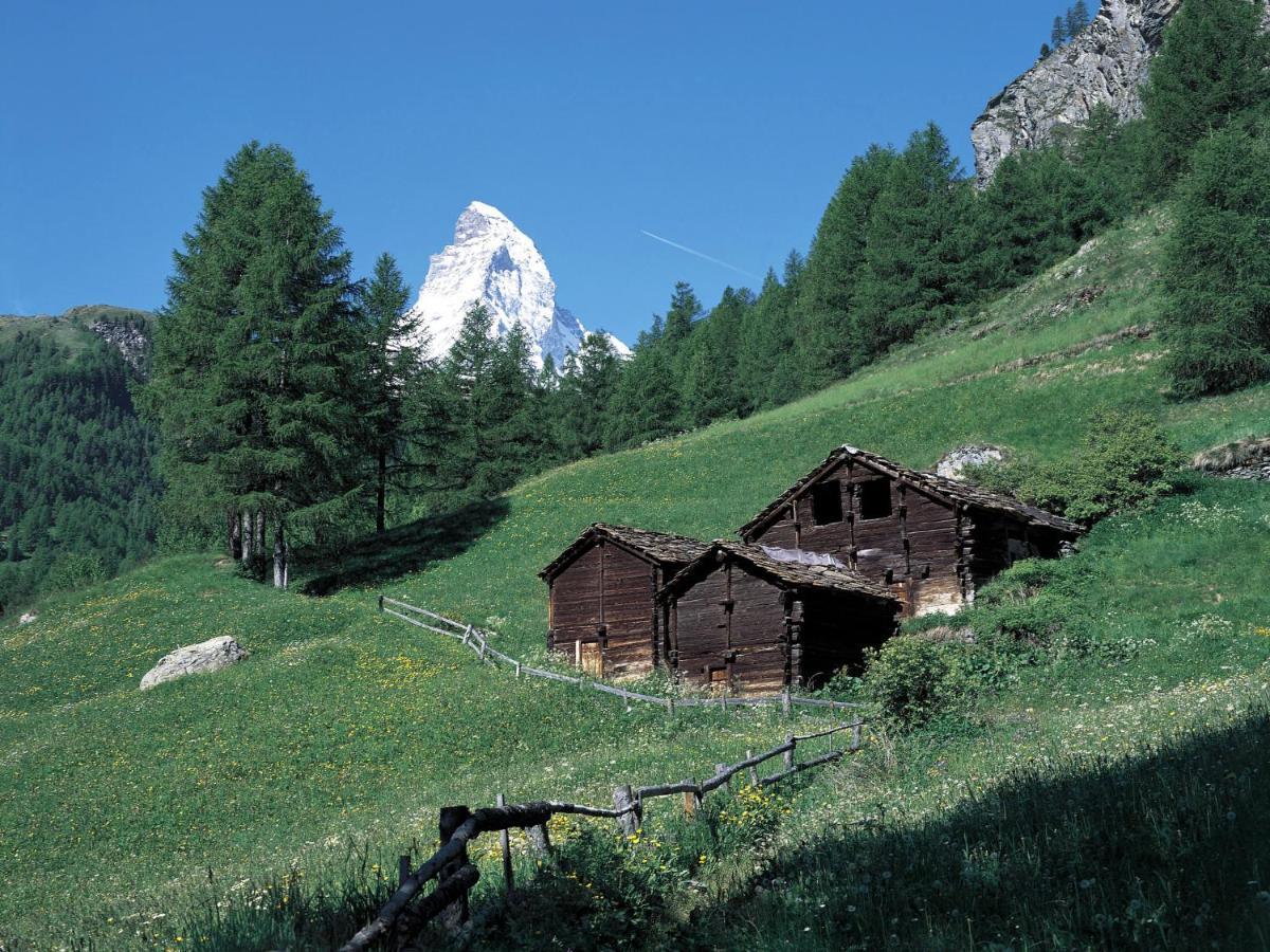 Apartment Richemont By Interhome Zermatt Eksteriør bilde